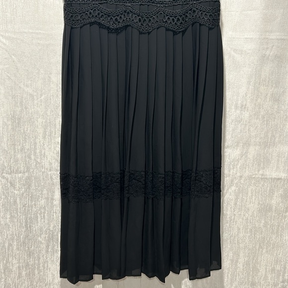 Zara Basics Lace & Pleated Dress - Picture 3 of 14
